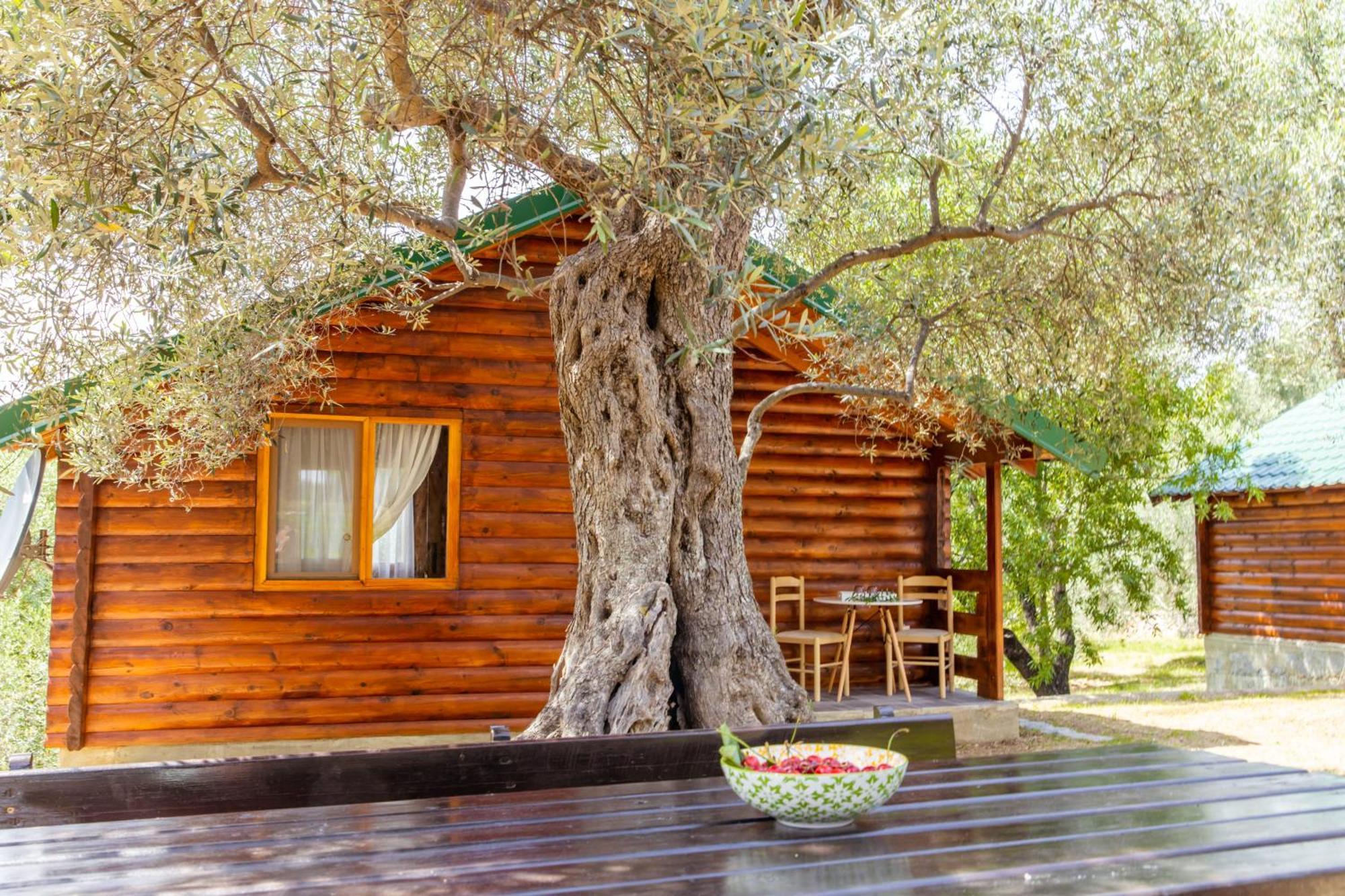 Katana Village Apartment Ulcinj Luaran gambar